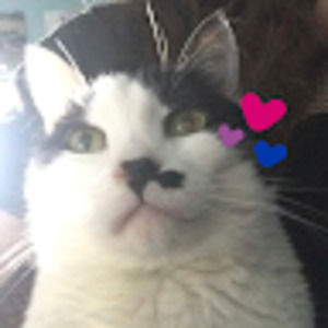 Meet your Posher, Thena